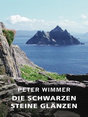 cover image of DIE SCHWARZEN STEINE GLÄNZEN